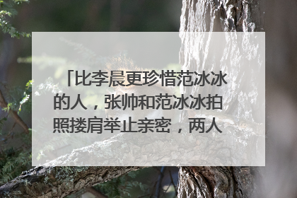 比李晨更珍惜范冰冰的人，张帅和范冰冰拍照搂肩举止亲密，两人是什么关系？