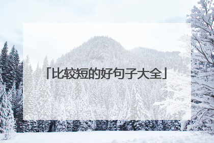 比较短的好句子大全