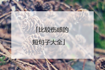比较伤感的短句子大全