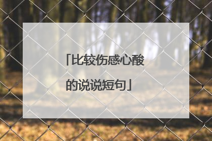 比较伤感心酸的说说短句