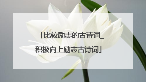 比较励志的古诗词_积极向上励志古诗词