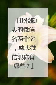 比较励志的微信名两个字，励志微信昵称有哪些？