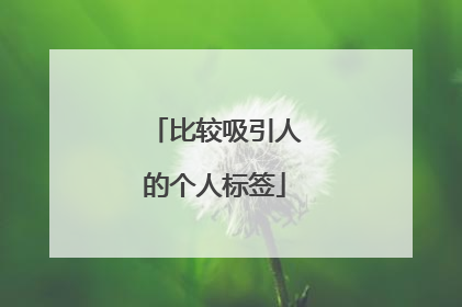 比较吸引人的个人标签