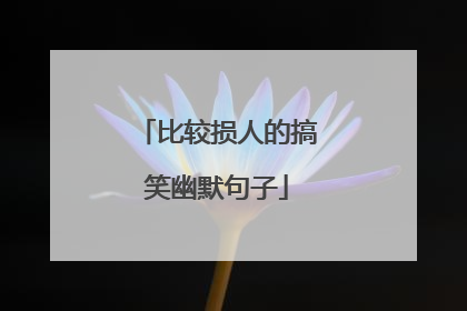 比较损人的搞笑幽默句子
