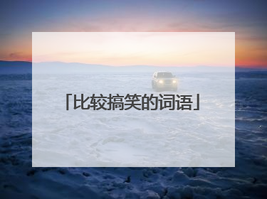 比较搞笑的词语