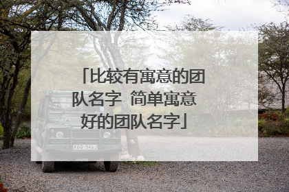 比较有寓意的团队名字 简单寓意好的团队名字