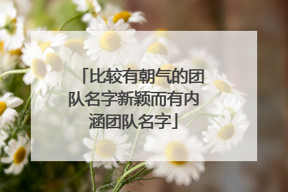 比较有朝气的团队名字新颖而有内涵团队名字