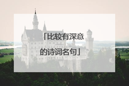 比较有深意的诗词名句