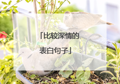 比较深情的表白句子