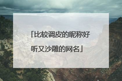 比较调皮的昵称好听又沙雕的网名
