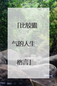 比较霸气的人生格言