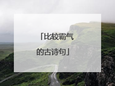 比较霸气的古诗句