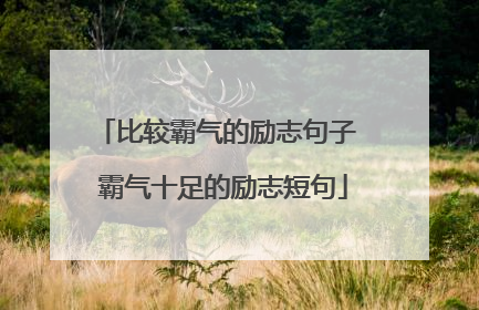 比较霸气的励志句子 霸气十足的励志短句
