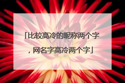 比较高冷的昵称两个字,网名字高冷两个字