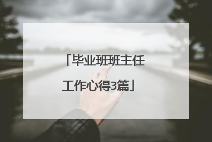 毕业班班主任工作心得3篇