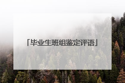 毕业生班组鉴定评语