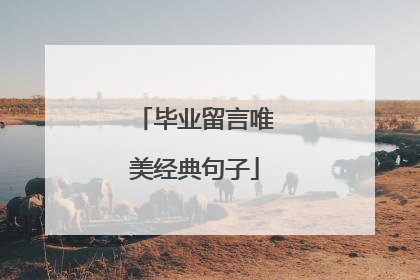 毕业留言唯美经典句子