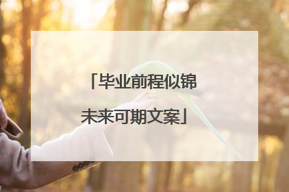 毕业前程似锦未来可期文案