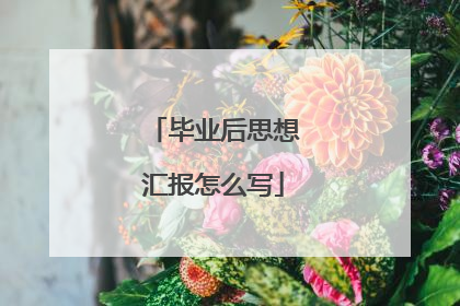 毕业后思想汇报怎么写