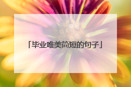 毕业唯美简短的句子