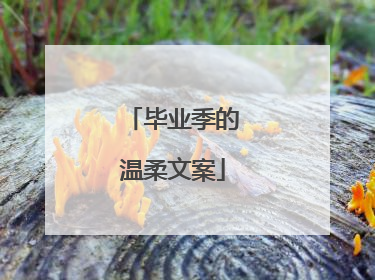 毕业季的温柔文案