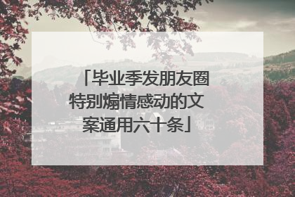毕业季发朋友圈特别煽情感动的文案通用六十条