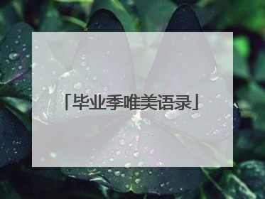 毕业季唯美语录