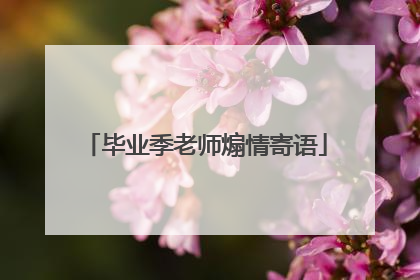 毕业季老师煽情寄语