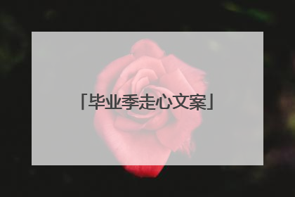 毕业季走心文案
