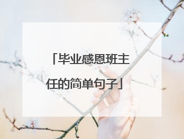 毕业感恩班主任的简单句子