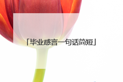 毕业感言一句话简短