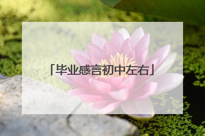 毕业感言初中左右