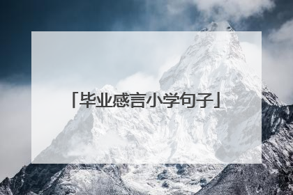 毕业感言小学句子