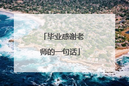 毕业感谢老师的一句话