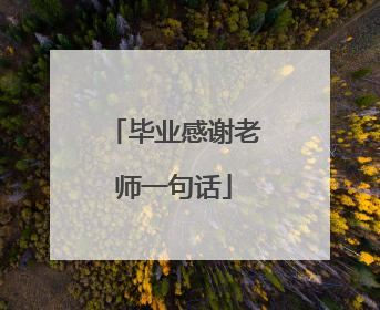 毕业感谢老师一句话