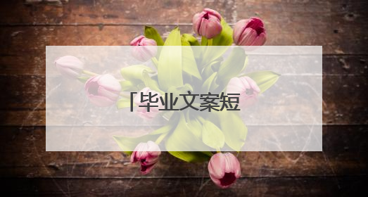 毕业文案短句干净治愈