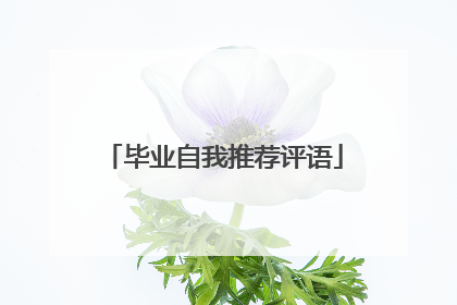 毕业自我推荐评语