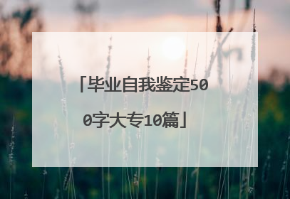 毕业自我鉴定500字大专10篇