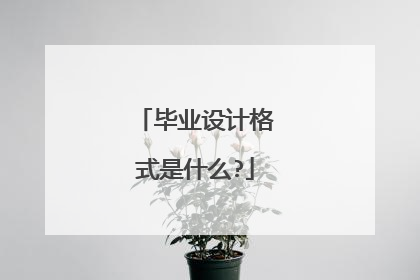 毕业设计格式是什么?