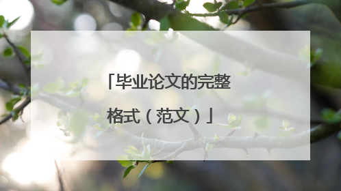 毕业论文的完整格式(范文)