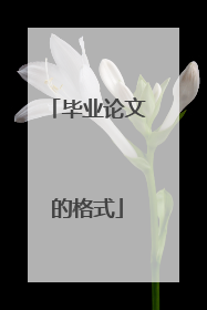 毕业论文的格式