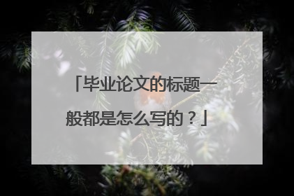 毕业论文的标题一般都是怎么写的？
