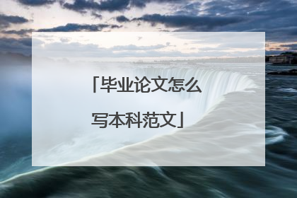 毕业论文怎么写本科范文