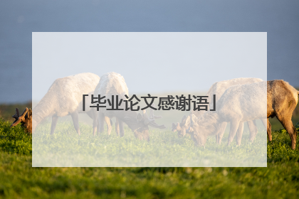 毕业论文感谢语