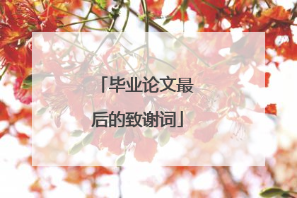 毕业论文最后的致谢词