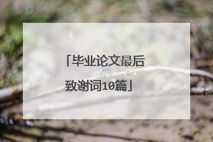 毕业论文最后致谢词10篇
