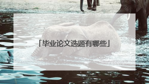 毕业论文选题有哪些