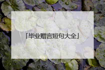 毕业赠言短句大全