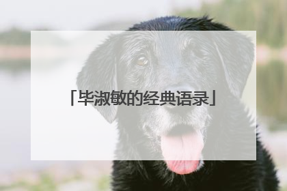 毕淑敏的经典语录