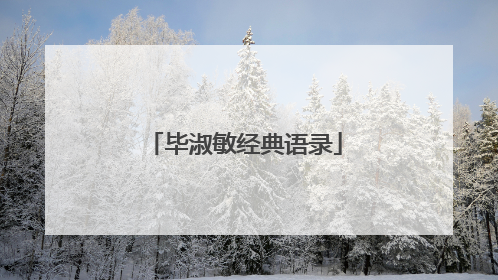 毕淑敏经典语录